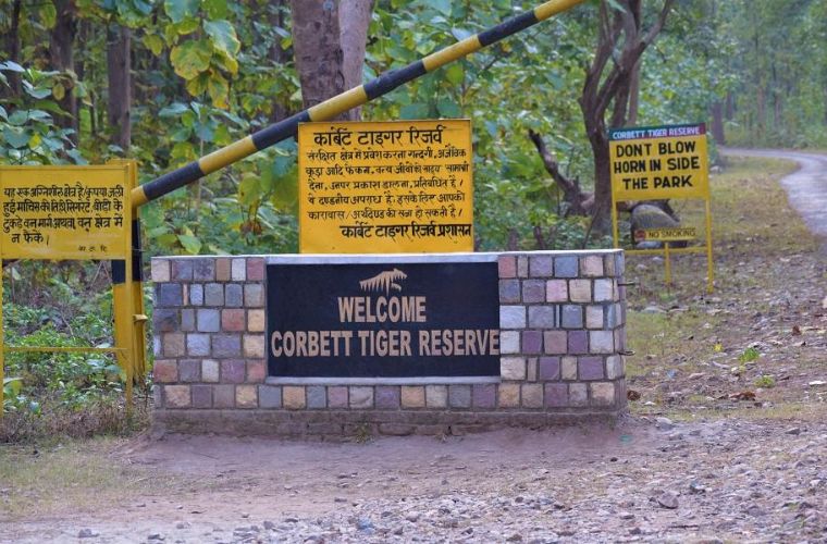 Jim Corbett National Park